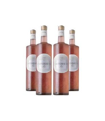 Falasco Antonieta Rose