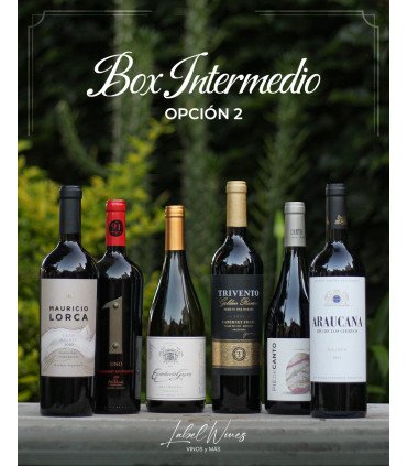 Box Intermedio II