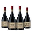 Winemaker Bonarda Falasco Wines
